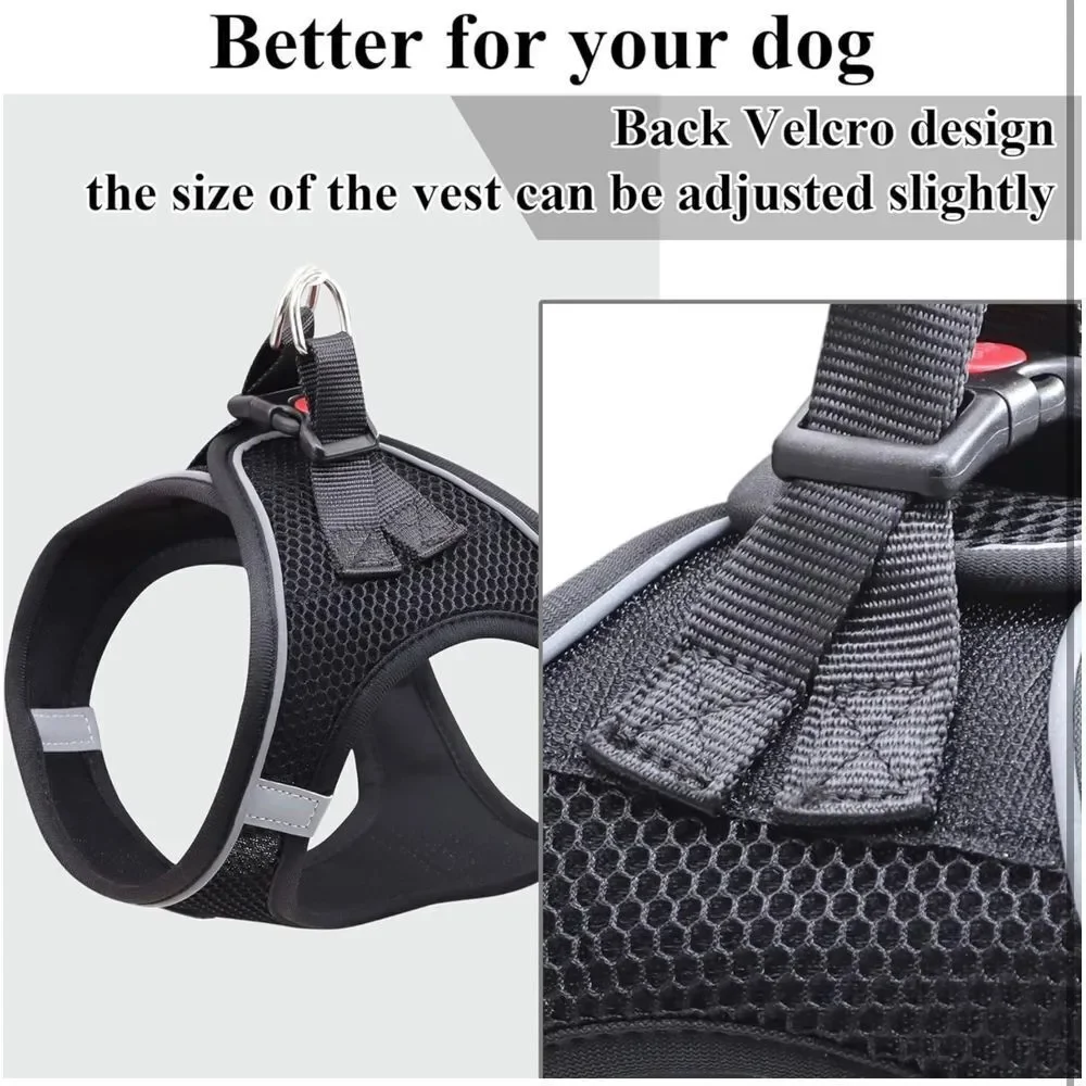 Dog Harness Vest‎ for Small and Medium Dogs No Pull and Leash Set, L
